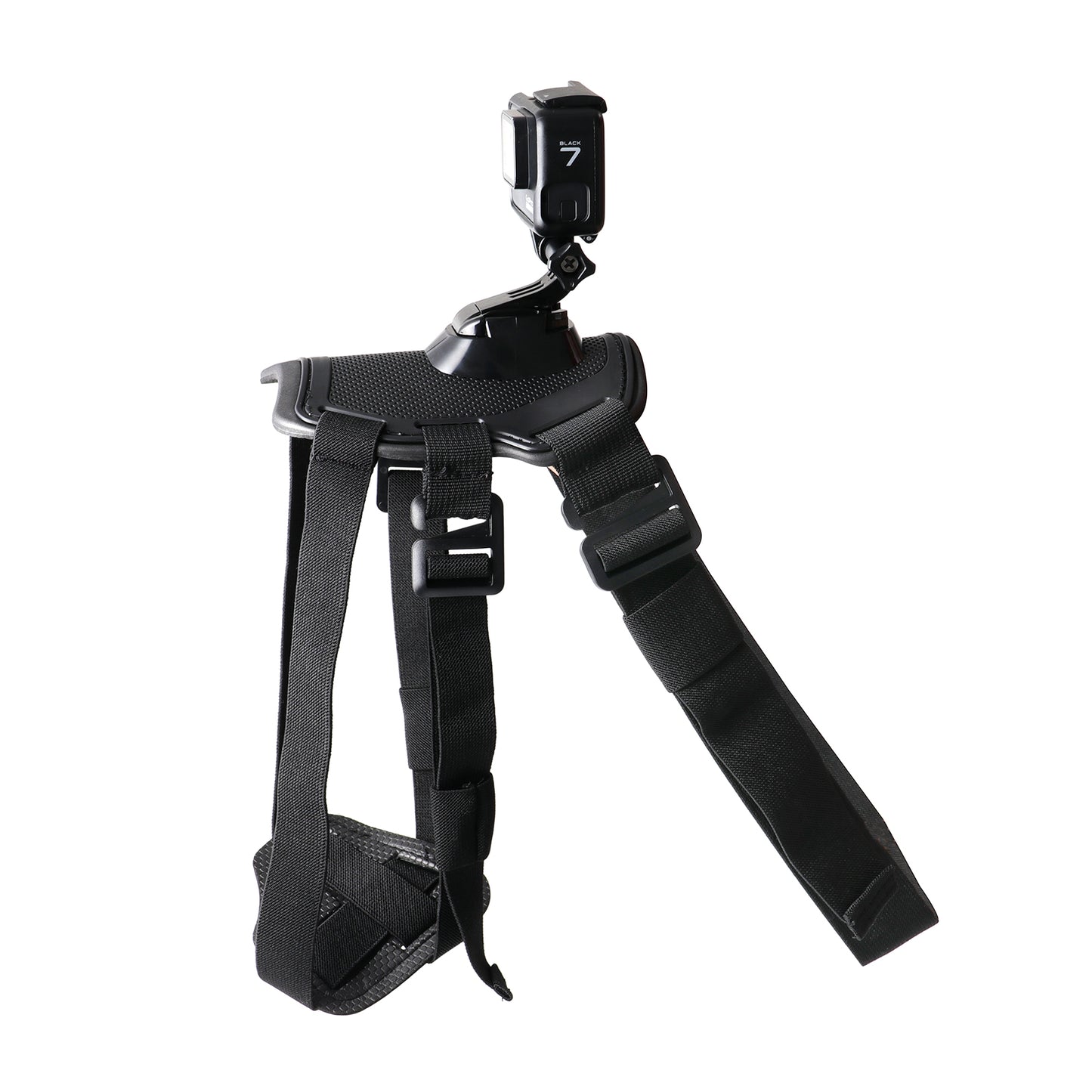 go pro mount for dog